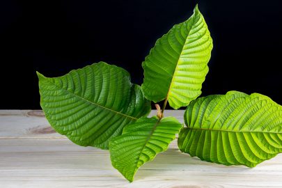 best kratom online